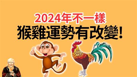 屬雞樓層|属鸡最佳住房楼层和风水方位